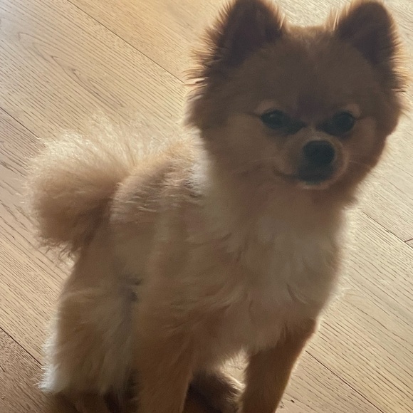 🛑Sunday am Eastern🎁SELL YOU & I ♥️ - Picture 14 of 15